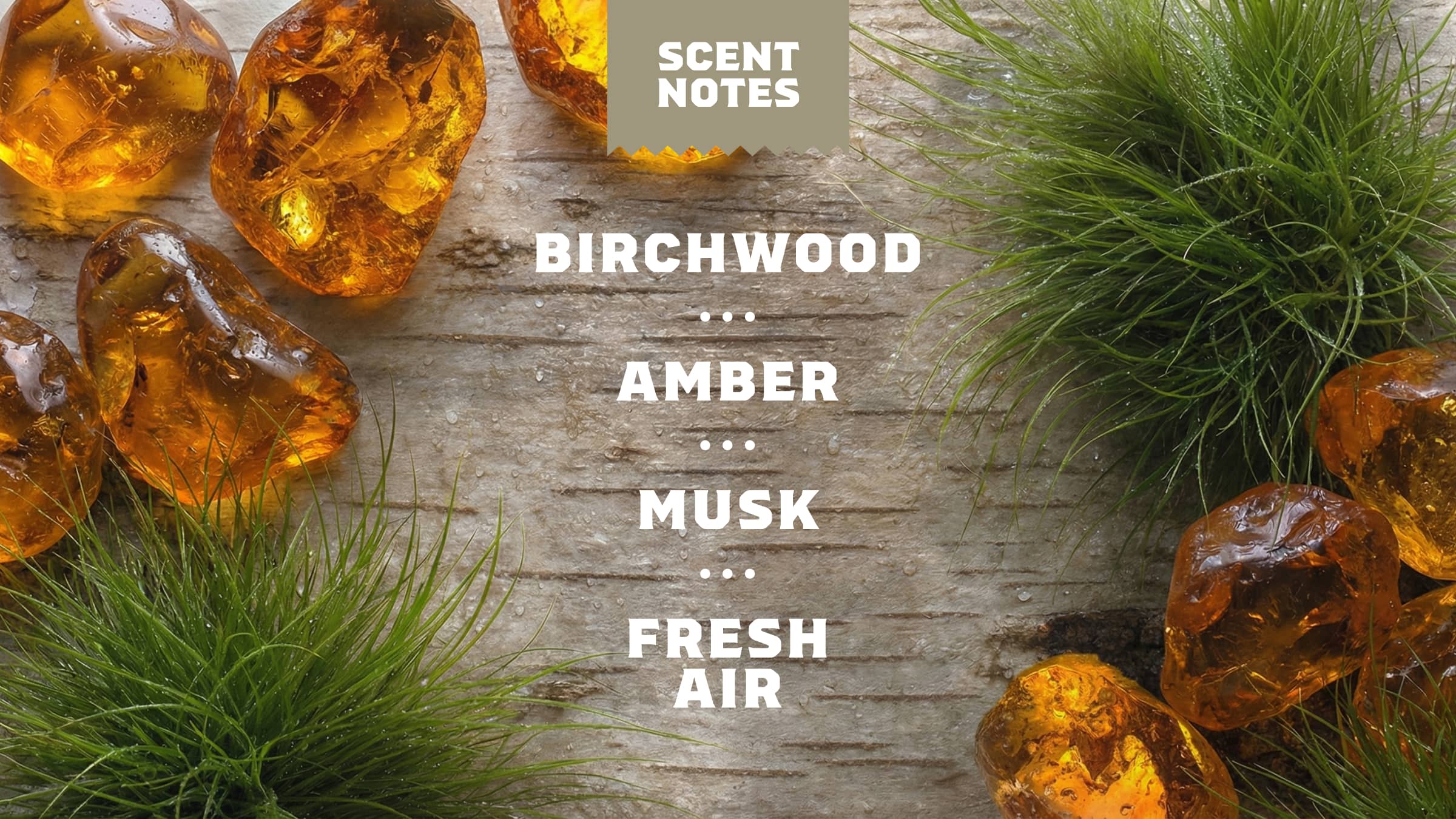 14 oz Birchwood Breeze Body Wash - Daily Shower Lather