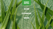 Cool Fresh Aloe - Rugged Trail Routine