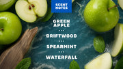 14 oz Fresh Falls Body Wash - Forest Outdoor Start