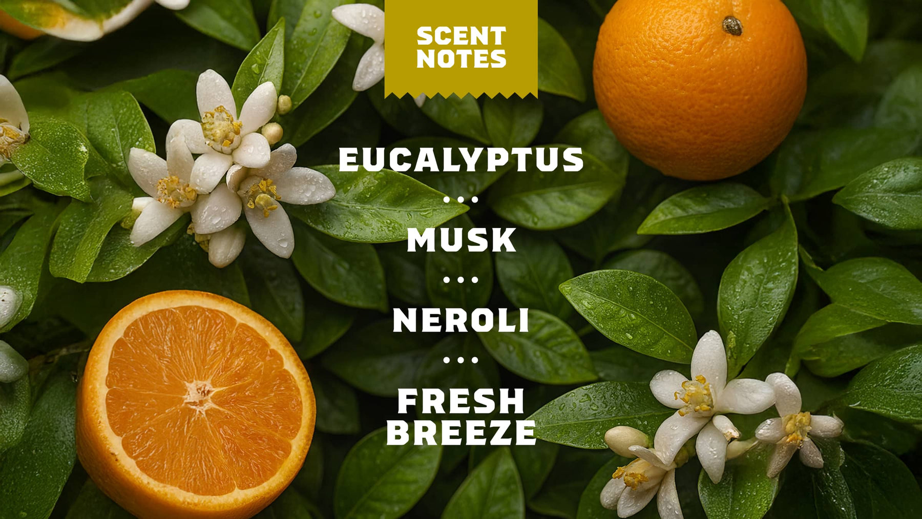 Mountain Meadow Spray Deodorant - Travel Clean Routine