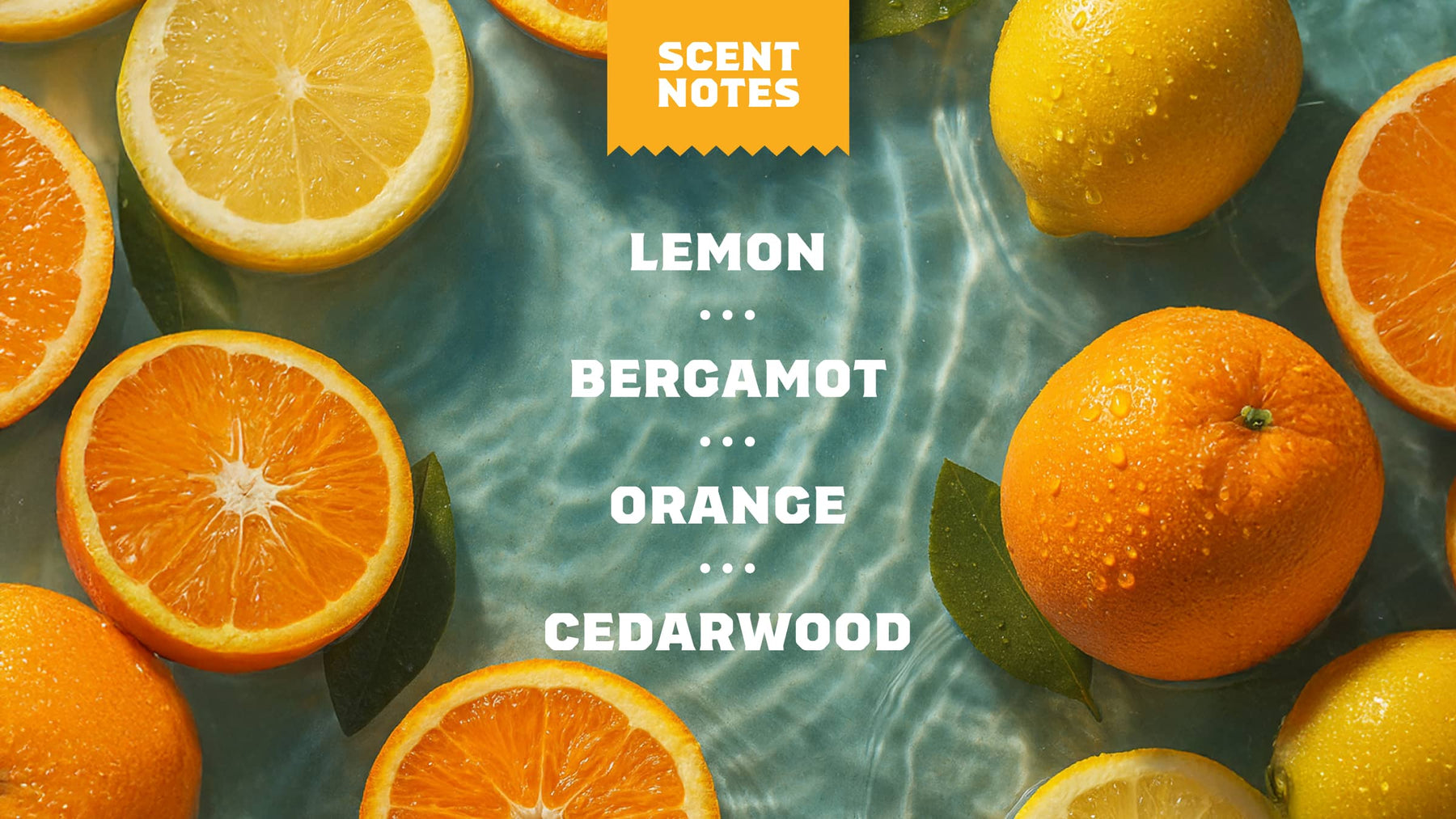 Summer Citrus - Fresh Lather