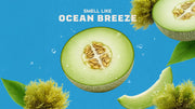Coastal Mist - Fresh Outdoor Bar