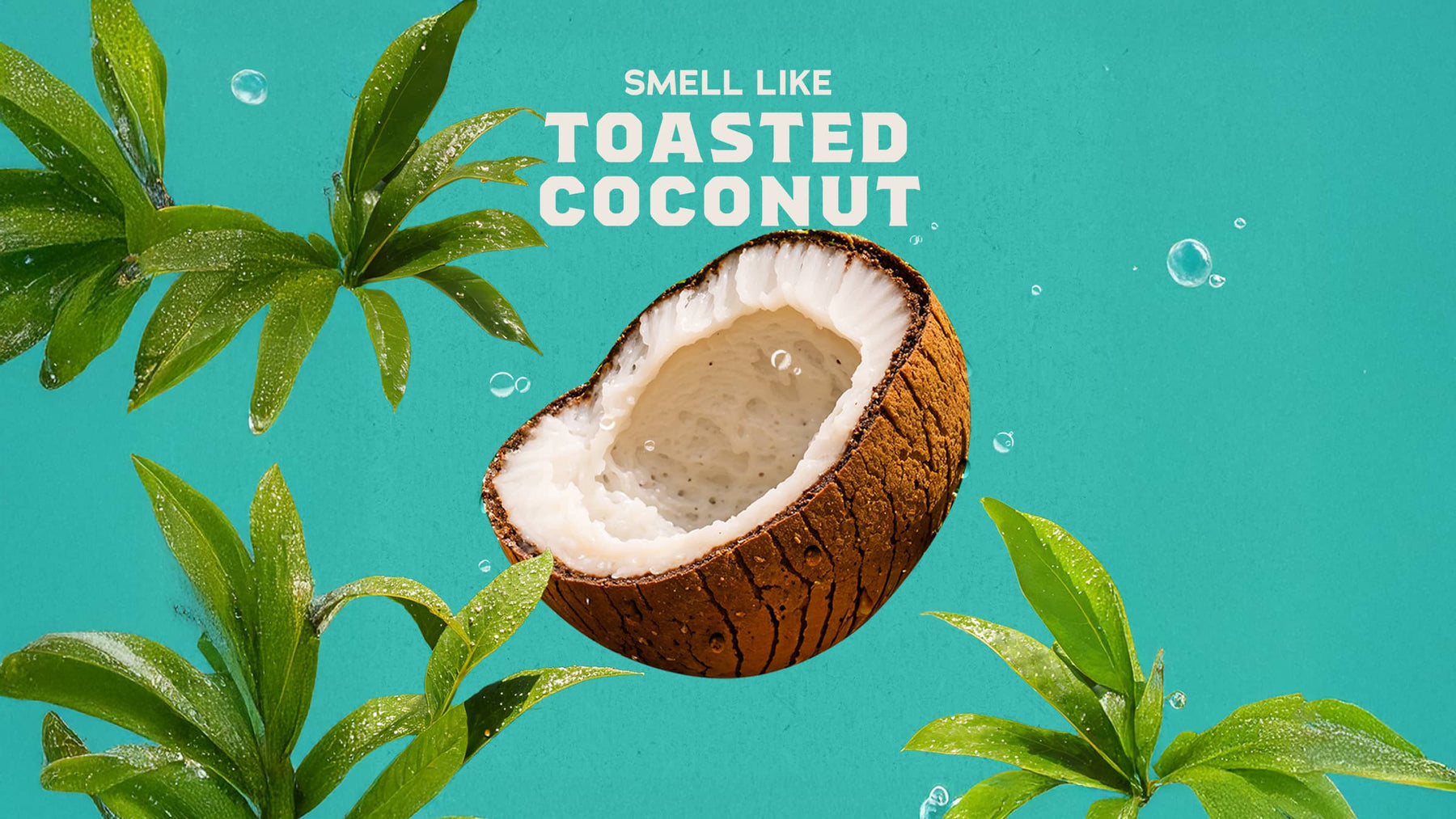 Coconut Castaway Lotion - Essential Daily Hydration