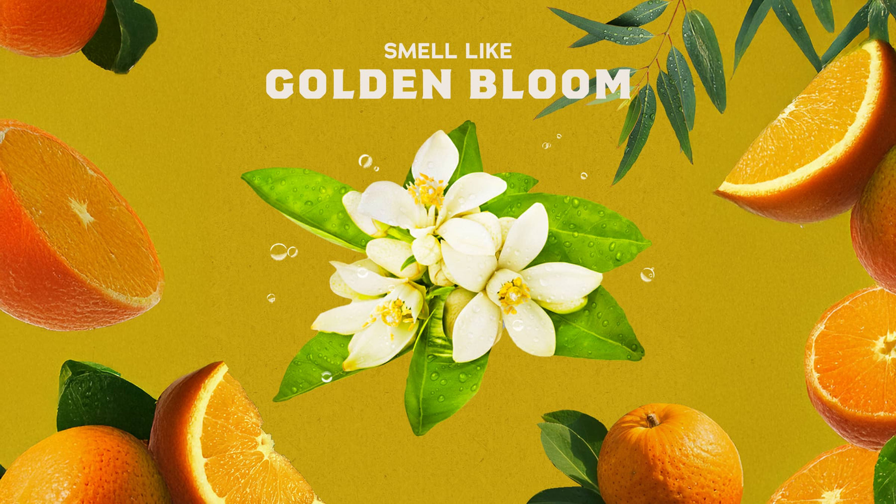 Mountain Meadow Deodorant - Smooth Fresh Carry