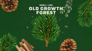 14 oz Pine Tar Body Wash - Forest Morning Lather