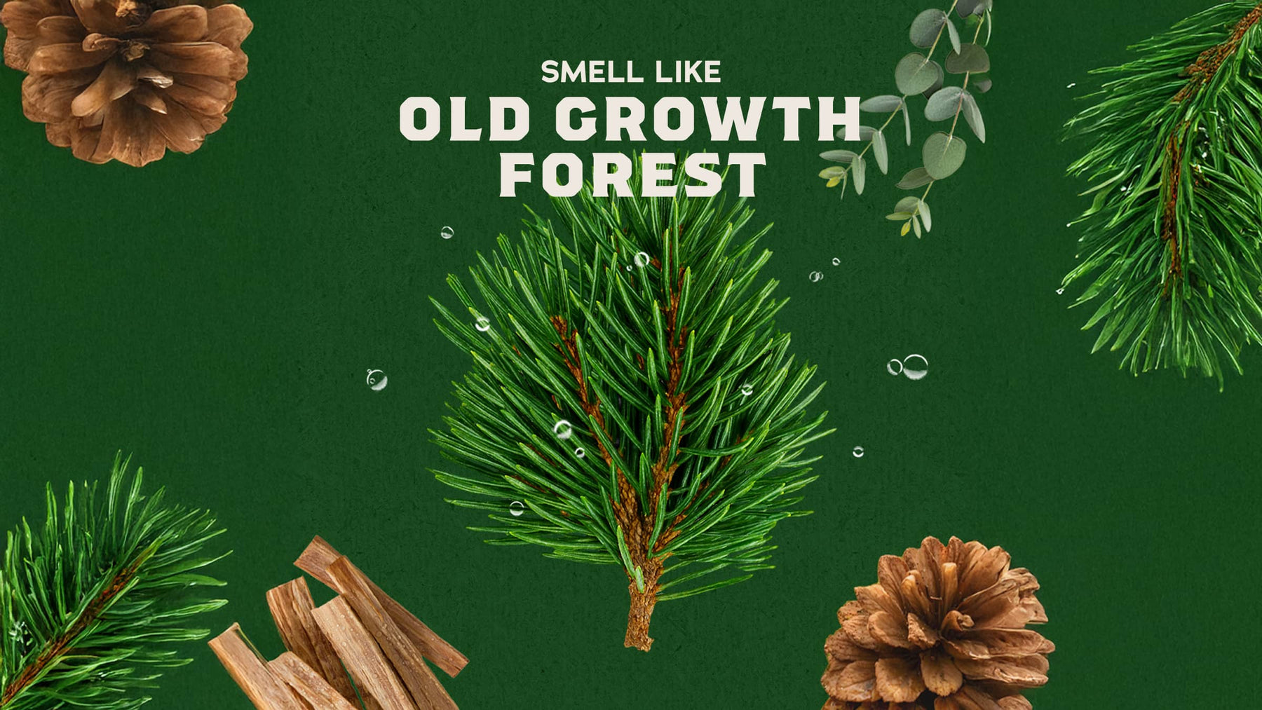 Woodland Pine Cologne - Outdoor Blend