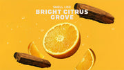 Summer Citrus Conditioner - Daily Scent